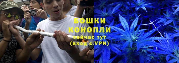 дурь Козловка