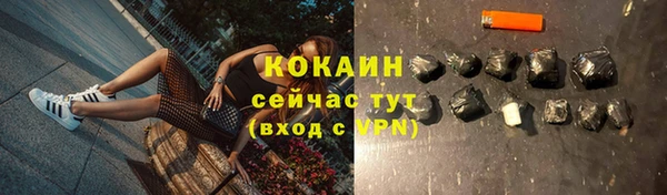 дурь Козловка