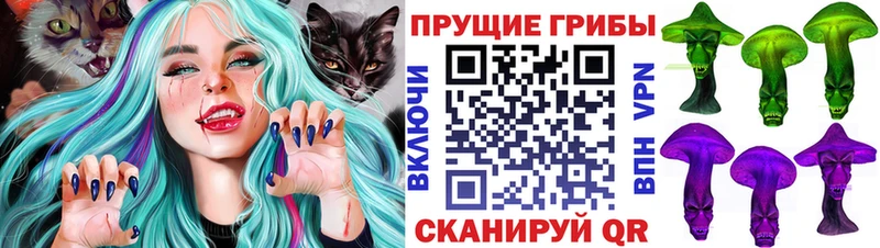 Галлюциногенные грибы мицелий  KRAKEN ONION  Хасавюрт  что такое наркотик 