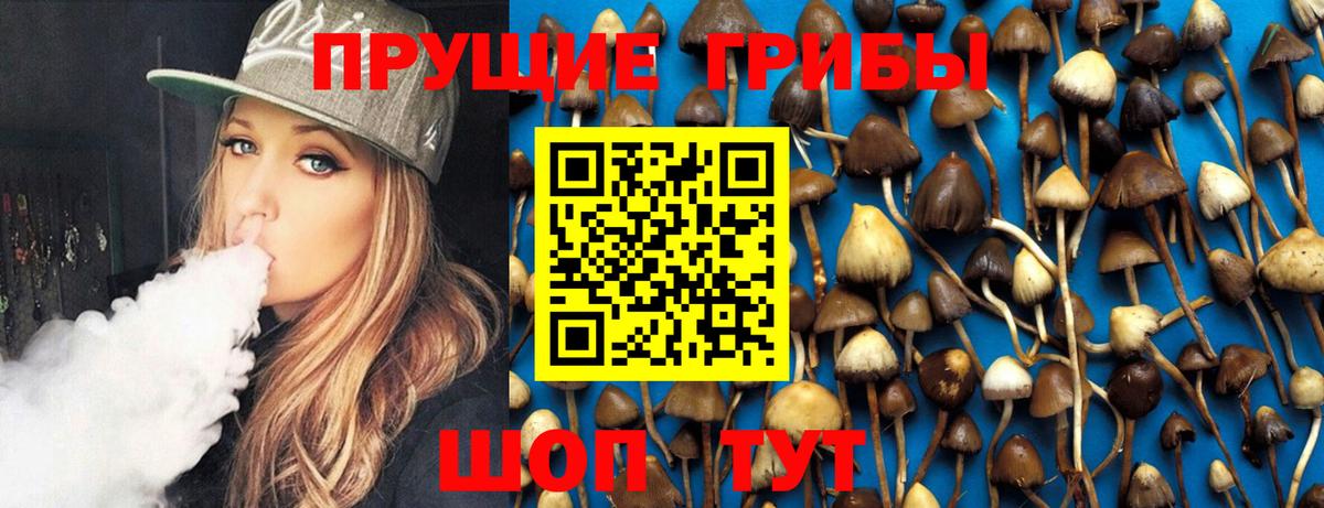Псилоцибиновые грибы Magic Shrooms Хасавюрт