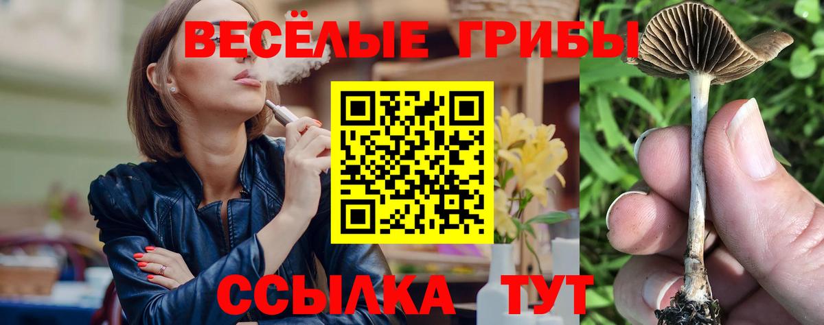 Хасавюрт  Псилоцибиновые грибы Psilocybine cubensis  Вход с VPN  Галлюциногенные грибы прущие грибы 